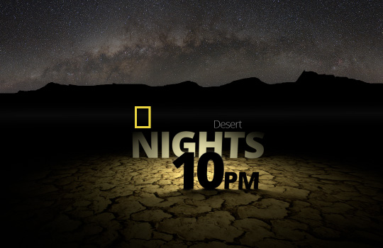 Desert Nights