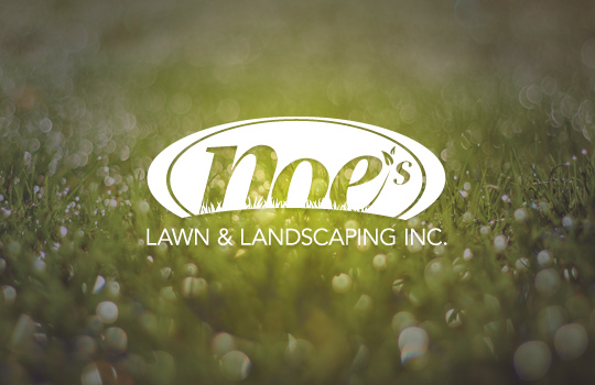 Noe Landscaping