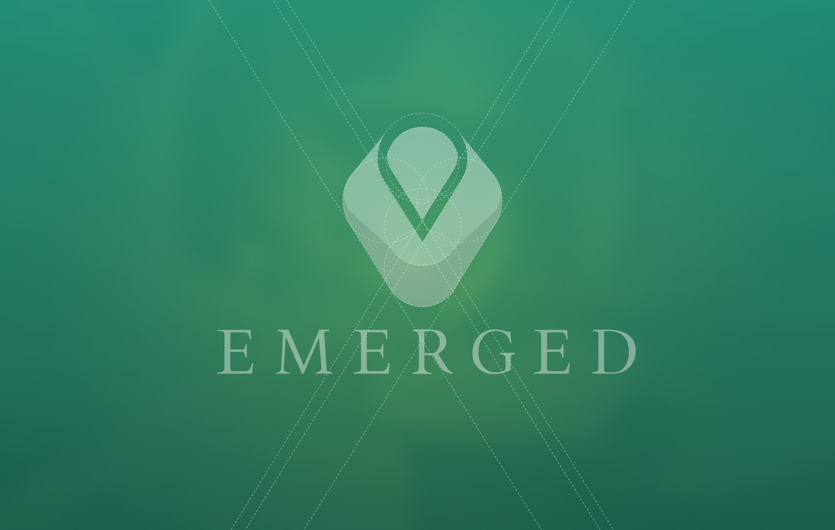 Emerged Identity design by hibriden