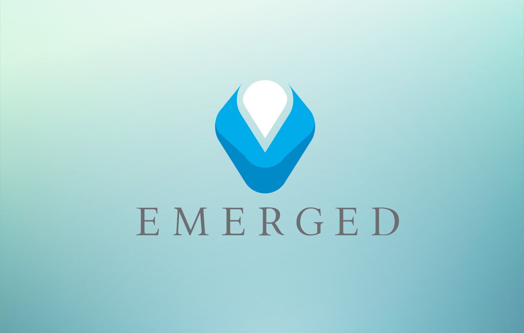 Emerged Identity design by hibriden