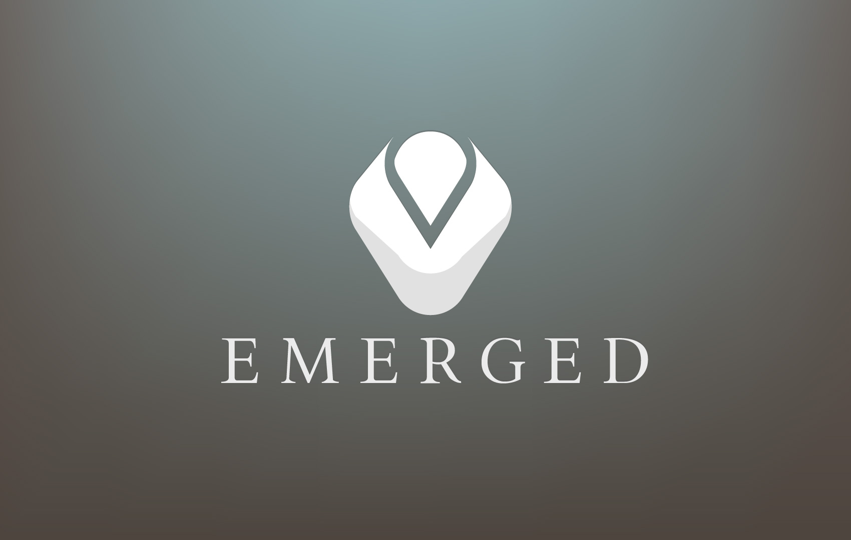 Emerged Identity design by hibriden