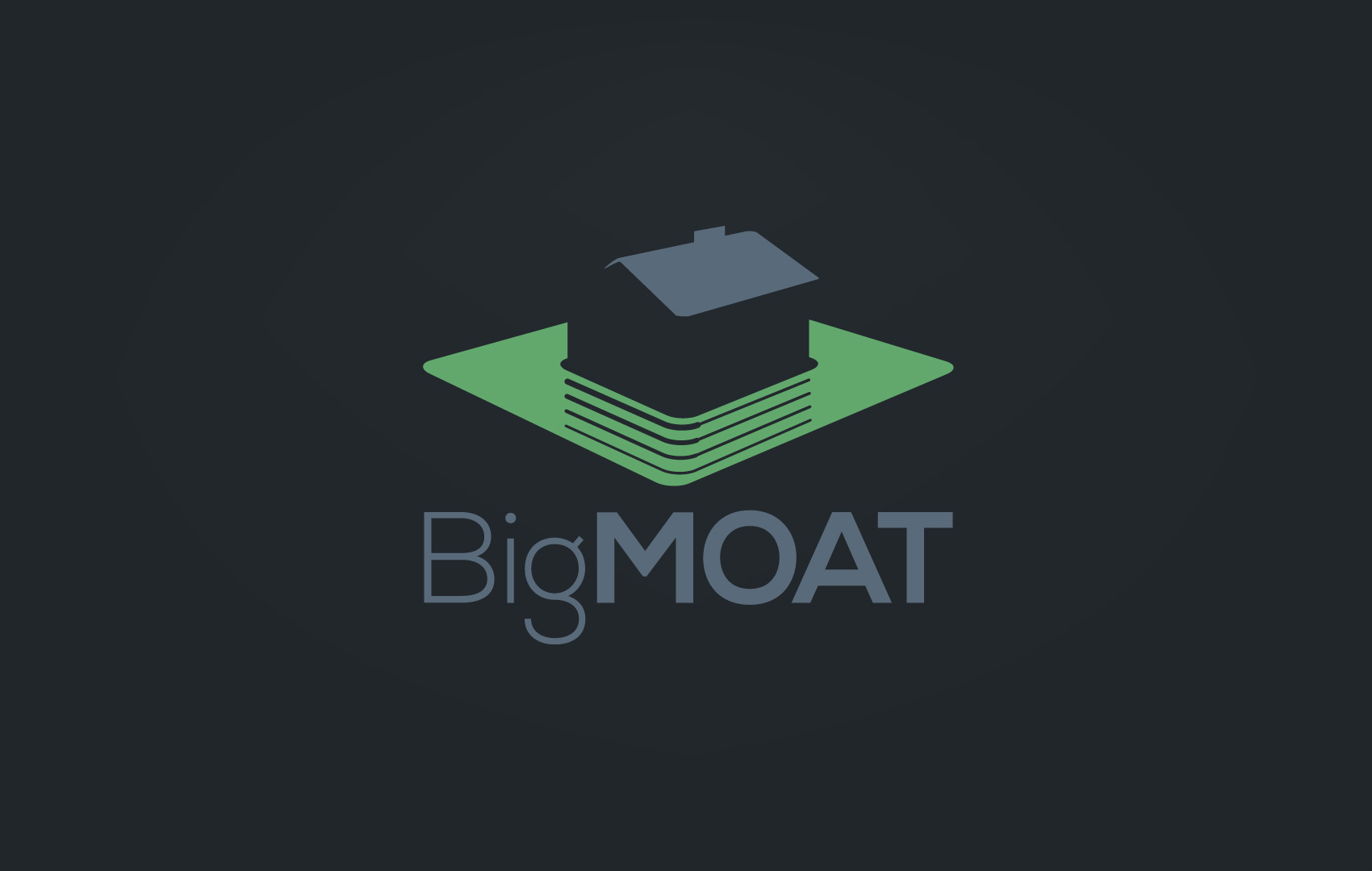 Logotype Design for Big Moat