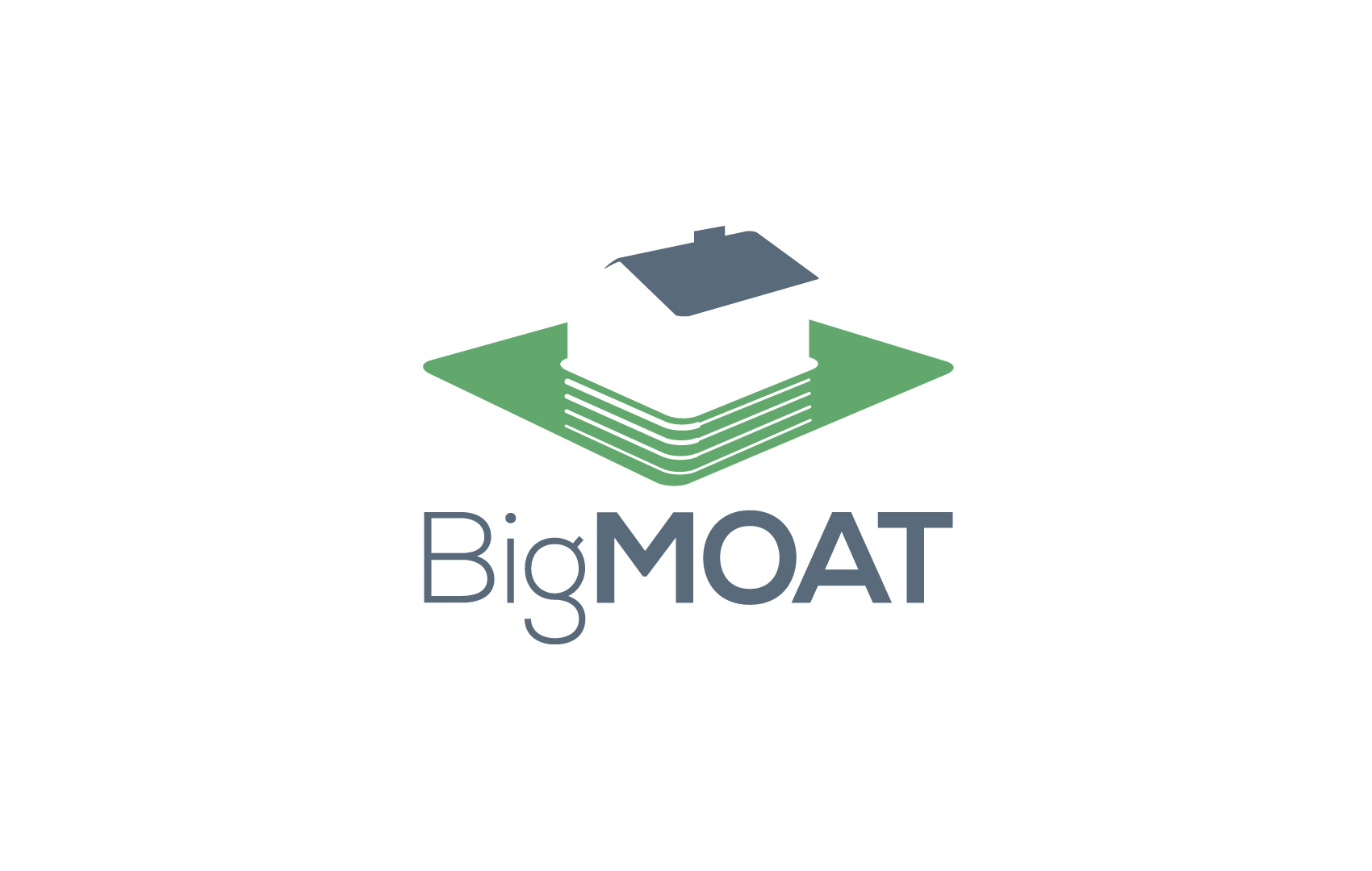 Logotype Design for Big Moat